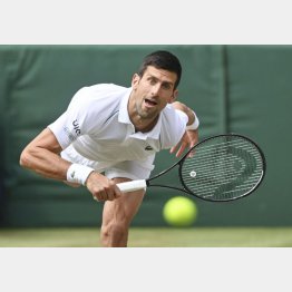 全豪オープンに出場できるのか（Ｃ）ロイター＝共同