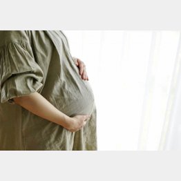 写真はイメージ