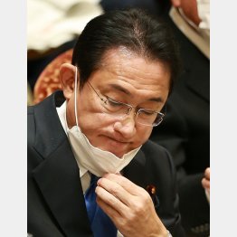 オミクロン株は手探り、それなのに「先手先手」などと分かったふり（岸田首相）／（Ｃ）日刊ゲンダイ