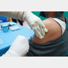 写真はイメージ（Ｃ）iStock