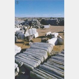 写真①（撮影）片平孝