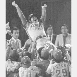 1982年に8年ぶりのリーグ優勝を決め、胴上げされる近藤監督（Ｃ）共同通信社