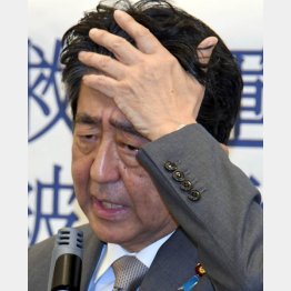 イライラMAX（安倍元首相）／（Ｃ）日刊ゲンダイ