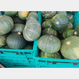 写真はイメージ