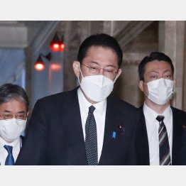 専門家と自治体へ丸投げ（Ｃ）日刊ゲンダイ