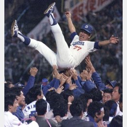 1988年に6年ぶり4度目のリーグ優勝を果たし、胴上げされる星野監督はこの後…（Ｃ）共同通信社