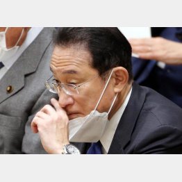 責任を菅前首相になすりつけ（岸田首相＝26日、衆院予算委）／（Ｃ）日刊ゲンダイ