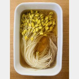 根っこもまるごといただく（Ｃ）日刊ゲンダイ