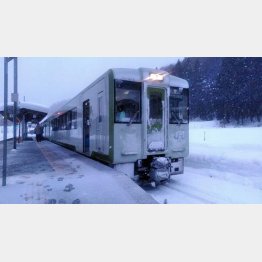 （Ｃ）日刊ゲンダイ