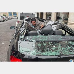 この後に飛び跳ねて立ち上がり…？！（ツイッターから）