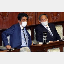 影響力を誇示（左から、安倍元首相と菅前首相）／（Ｃ）日刊ゲンダイ