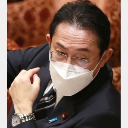 何より嫌悪されているのは岸田首相の発言（Ｃ）日刊ゲンダイ