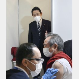 後手後手のおジャマムシ（代表撮影）