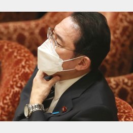 のらりくらり…（Ｃ）日刊ゲンダイ