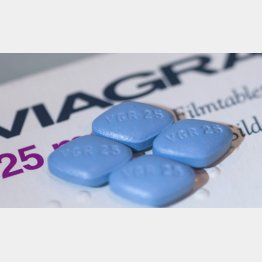 バイアグラ（Ｃ）DPA／共同通信イメージズ