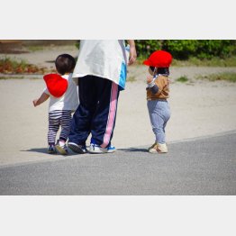 写真はイメージ（Ｃ）PIXTA