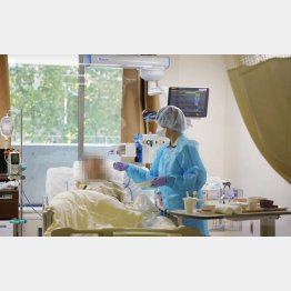 10日間で30人近く増え、ほとんどが60代以上（Ｃ）共同通信社