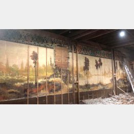 （GoFundMeから）