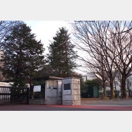 国立大附属で断トツは筑駒（Ｃ）日刊ゲンダイ