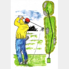 イラスト・たかぎしひろや