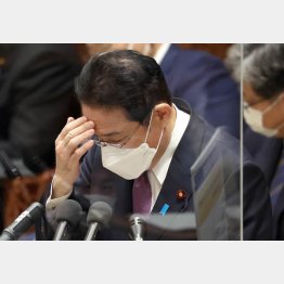 重症病床数の空きを強調するのみ、正面から言えない（岸田首相）／（Ｃ）日刊ゲンダイ