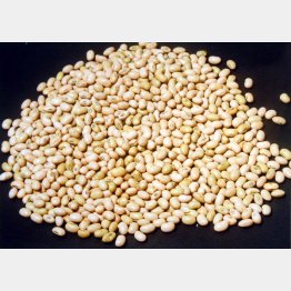 大豆は年初から20％高（Ｃ）日刊ゲンダイ