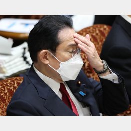 目玉の経済安保も…（岸田首相）／（Ｃ）日刊ゲンダイ