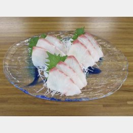 スギの刺し身（提供写真）