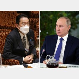 停戦条件をつり上げるしぶとさのプーチン大統領（右、ロイター）、傍観の裏にあるのは…（岸田首相）／（Ｃ）日刊ゲンダイ