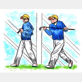 イラスト・たかぎしひろや