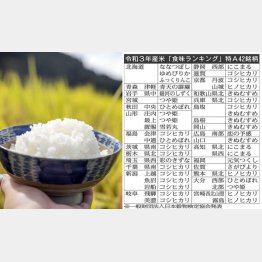 米どころの東北や北陸でないエリアが健闘（Ｃ）日刊ゲンダイ