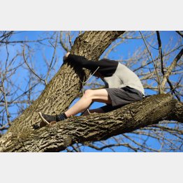 （インディアナポリス消防局のフェイスブックから）