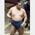確実に力はつけている豊昇龍（Ｃ）日刊ゲンダイ