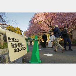 今年2022年も花見は自粛（東京・上野公園）／（Ｃ）日刊ゲンダイ