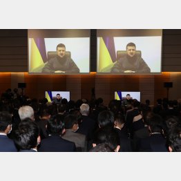 ウクライナのゼレンスキー大統領は安倍外交のメンツを立てた（Ｃ）ＪＭＰＡ