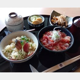 2種の小どんぶりは茶碗蒸し、小鉢などのセットで3800円（かつお手捏ね丼〈左〉とおろし鉄火丼）／（Ｃ）日刊ゲンダイ