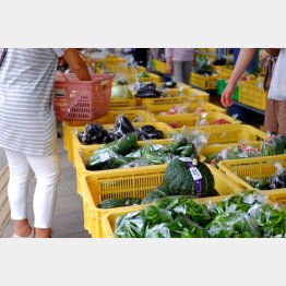 いいものを少しでも安く買いたい！（Ｃ）日刊ゲンダイ