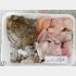 写真① 1パック250円のヒラメのアラ（Ｃ）日刊ゲンダイ