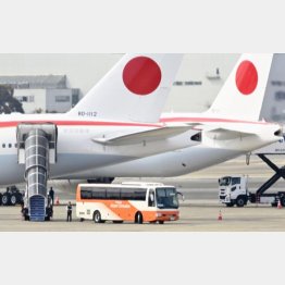 羽田空港に到着した政府専用機（手前）／（Ｃ）共同通信社