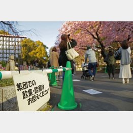 春の流行が始まった（Ｃ）日刊ゲンダイ