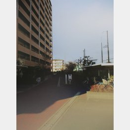 「居住者」は人間ばかりとはかぎらない（提供写真）