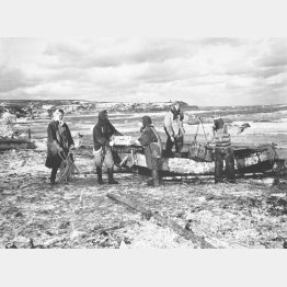 1950（昭和25）年に撮影された北海道稚内大岬で大漁のイカを運ぶ漁民たち（Ｃ）共同通信社