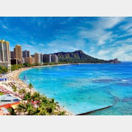 夏休みのハワイツアーはすでにキャンセル待ち（写真はイメージ）