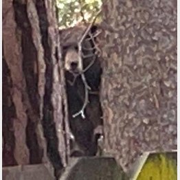 （フェイスブックから）