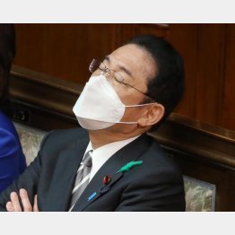 長期政権化する可能性は十分も…（衆院本会議に出席した岸田首相）／（Ｃ）日刊ゲンダイ
