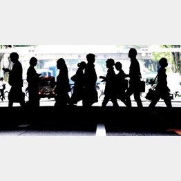 写真はイメージ（Ｃ）日刊ゲンダイ