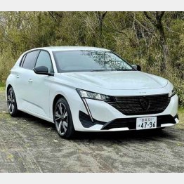 サイズ的には高級化に舵を切った（写真）小沢コージ