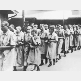 アウシュビッツ強制収容所、強制労働に連れ出される女性収容者（Ｃ）DPA／共同通信イメージズ