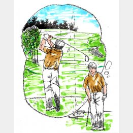 イラスト・たかぎしひろや