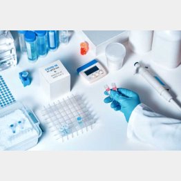 写真はイメージ（Ｃ）anyaivanova／iStock